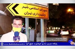 قطع درختان دشت هویج !