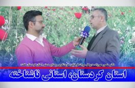 استان کردستان، استانی ناشناخته